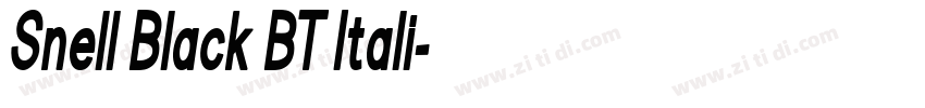 Snell Black BT Itali字体转换